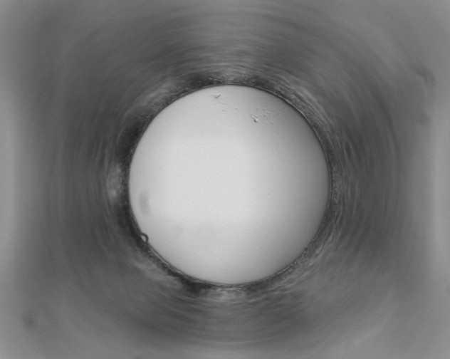 X0000113020077200908271043