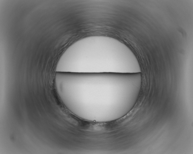 X0000113020078200908271043
