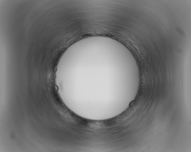 X0000113020079200908271043