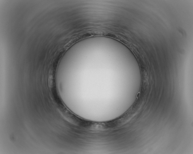X0000113020080200908271043