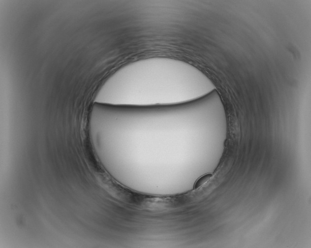 X0000113020082200908271043