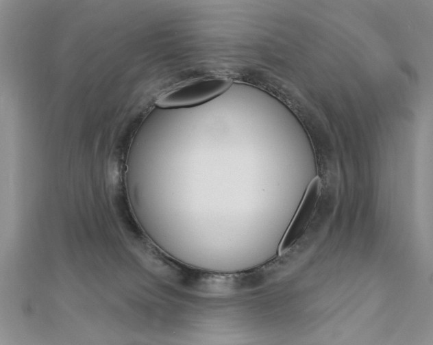 X0000113020084200908271043