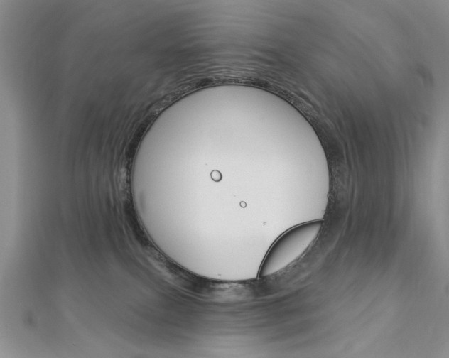 X0000113020087200908271043