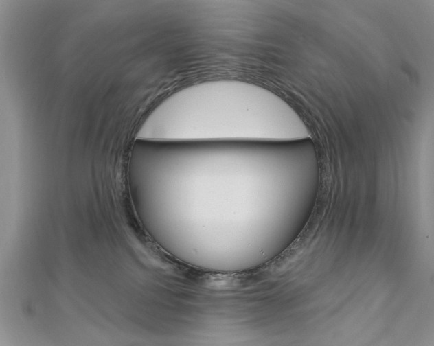 X0000113020088200908271043