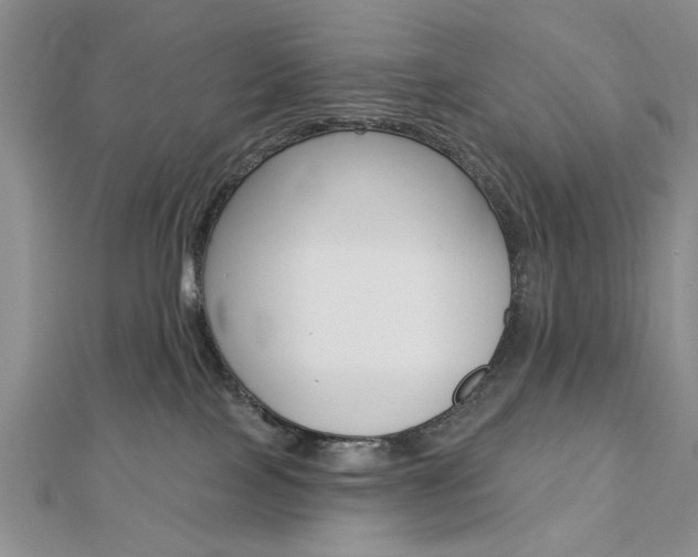X0000113020089200908271043