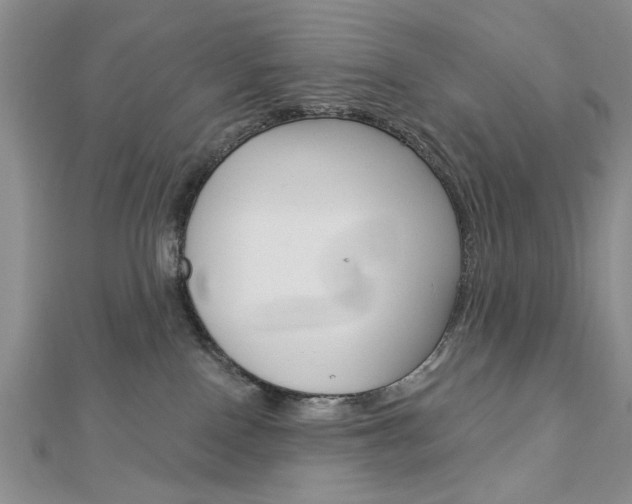 X0000113020090200908271043