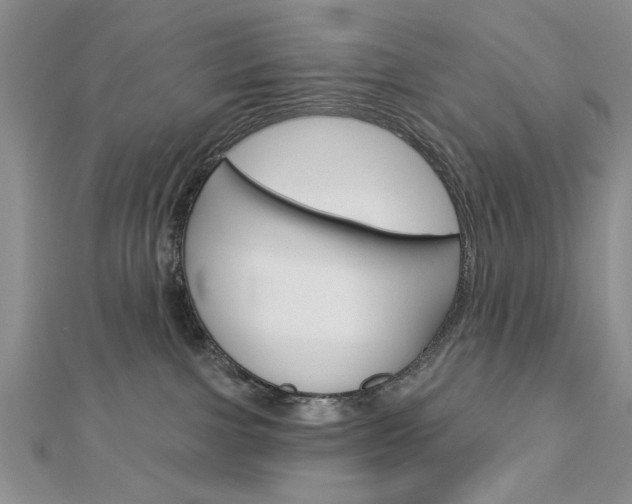 X0000113020091200908271043