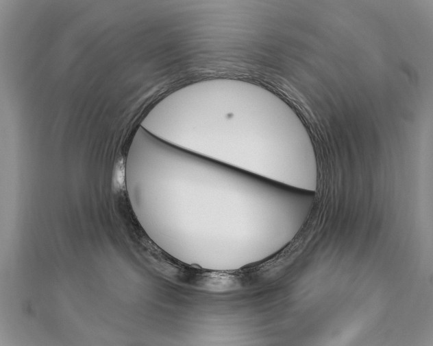 X0000113020095200908271043