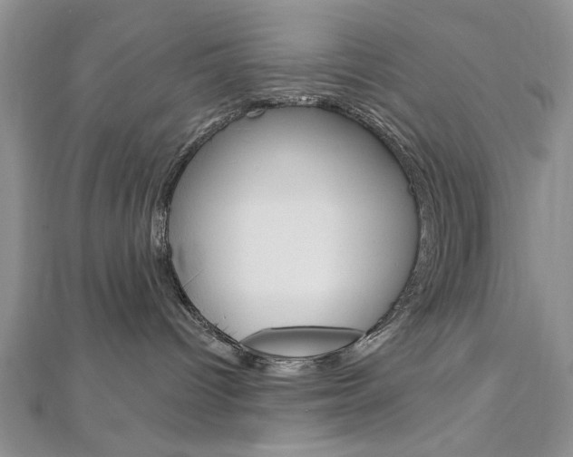 X0000113020096200908271043