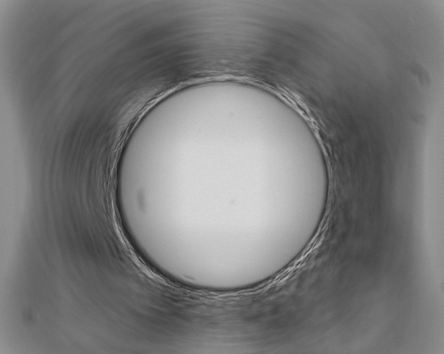 X0000113020097200908271042