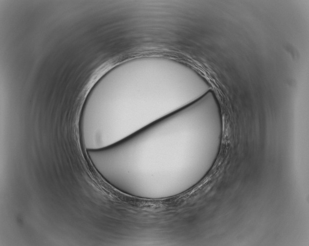 X0000113020099200908271042