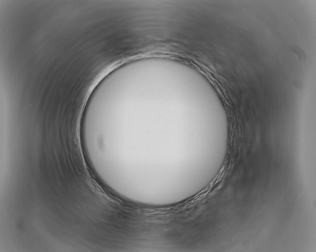 X0000113020100200908271042