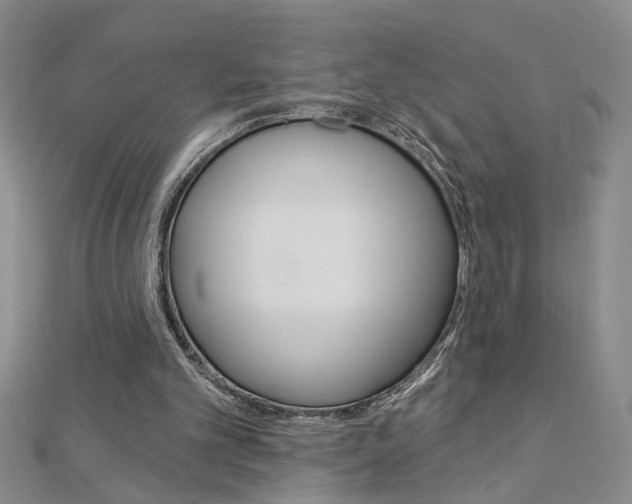 X0000113020101200908271042