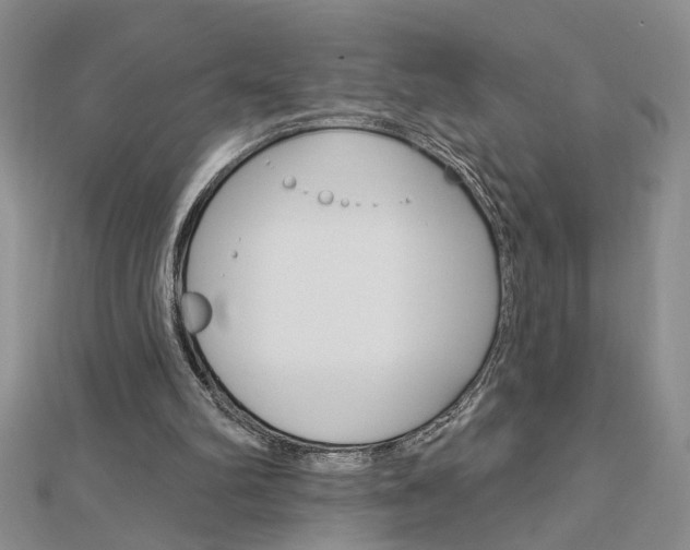 X0000113020102200908271042