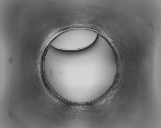 X0000113020103200908271042
