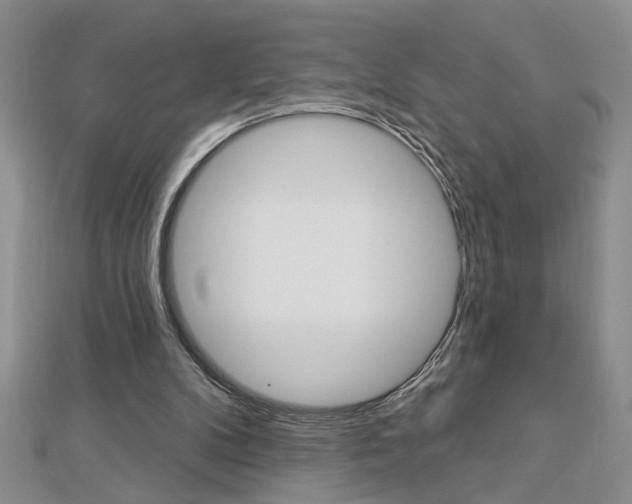 X0000113020104200908271042