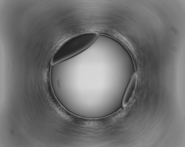 X0000113020105200908271042