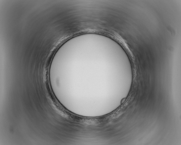 X0000113020106200908271042