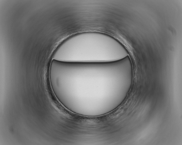 X0000113020107200908271042