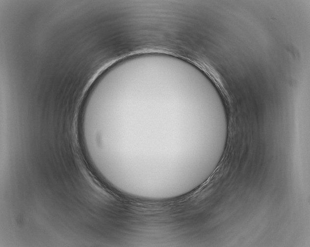 X0000113020108200908271042