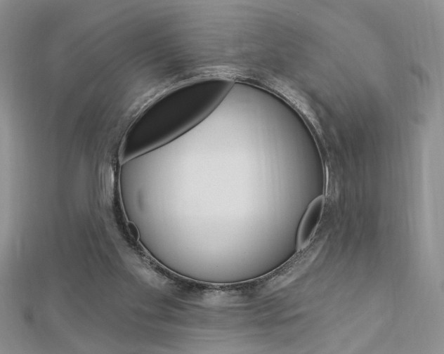 X0000113020109200908271042