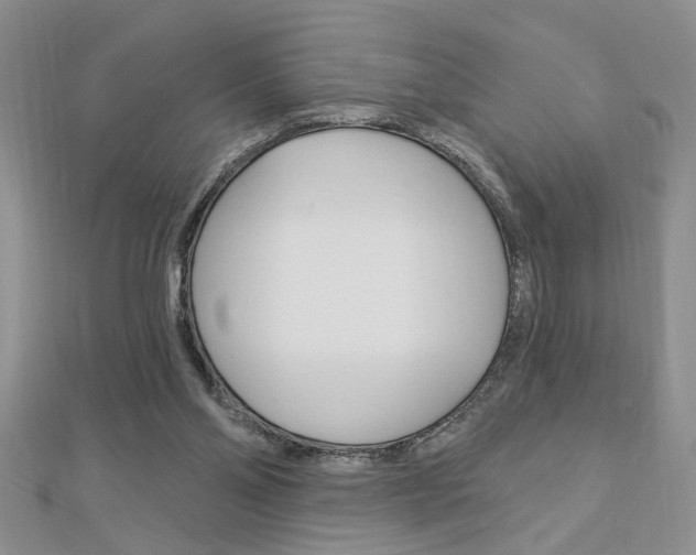 X0000113020110200908271042