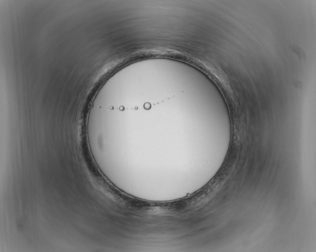 X0000113020111200908271042