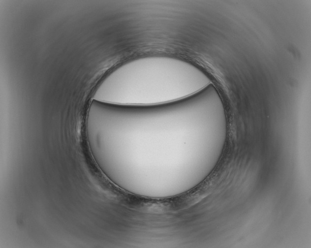 X0000113020115200908271042