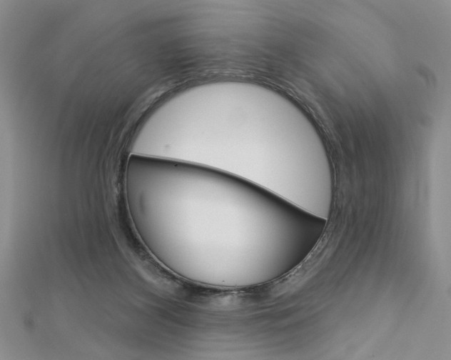 X0000113020116200908271042