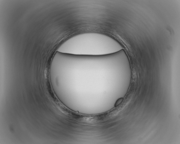 X0000113020117200908271042