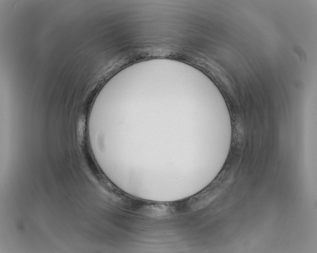 X0000113020118200908271042
