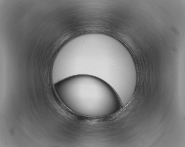 X0000113020120200908271042