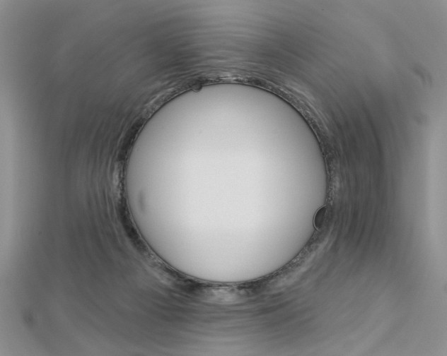 X0000113020121200908271042