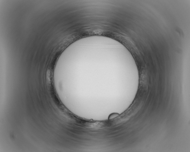 X0000113020122200908271042