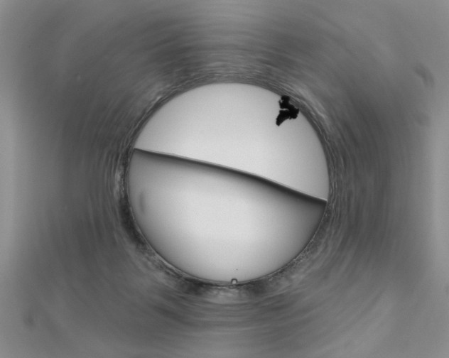 X0000113020123200908271042