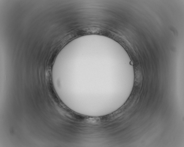 X0000113020126200908271042