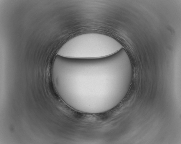X0000113020127200908271042