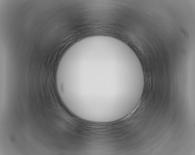 X0000113020128200908271042