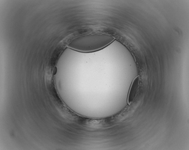 X0000113020129200908271042