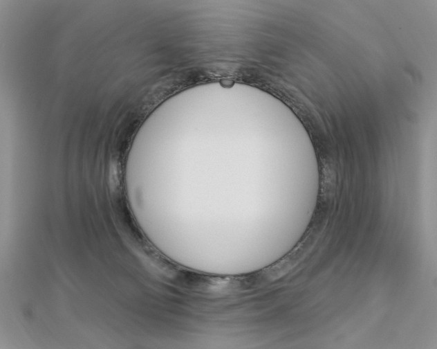 X0000113020130200908271042