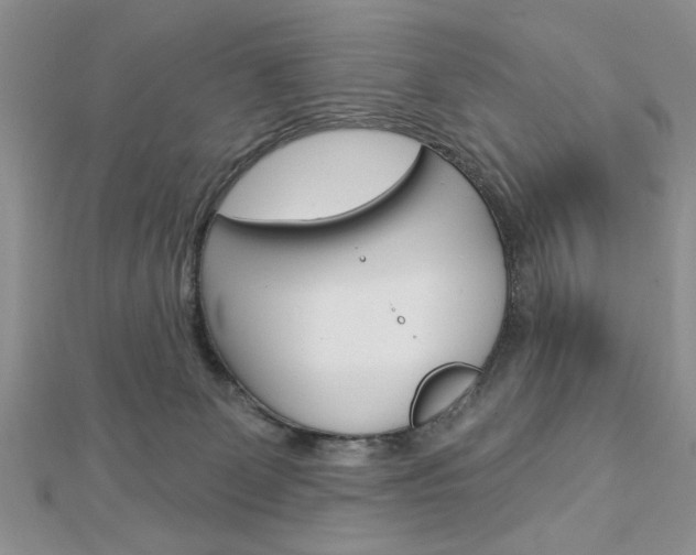 X0000113020131200908271042