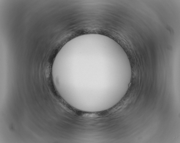 X0000113020133200908271042
