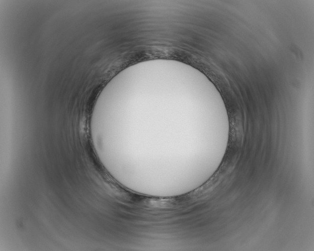 X0000113020134200908271042