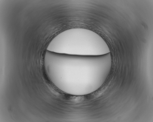 X0000113020135200908271042