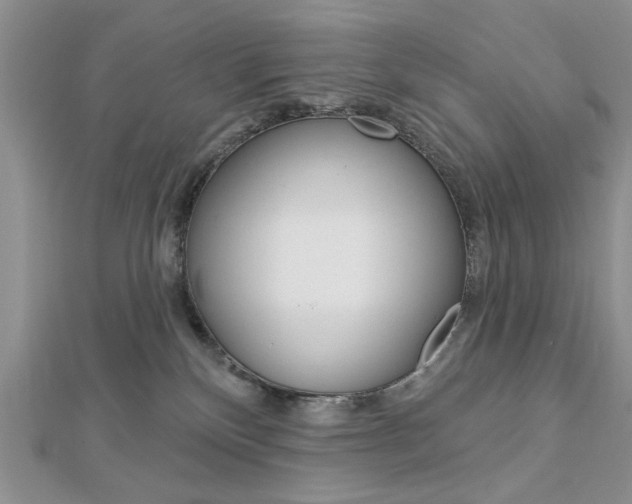 X0000113020136200908271042