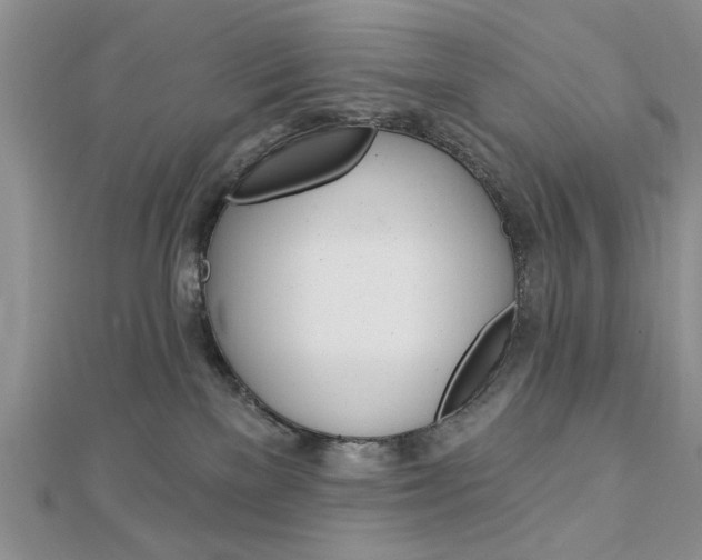 X0000113020137200908271042