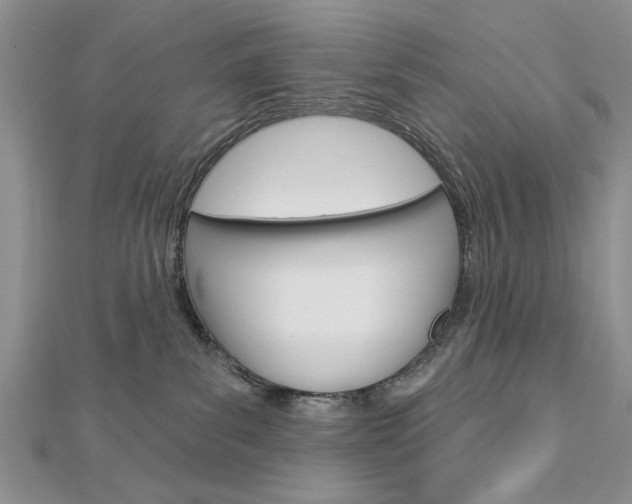 X0000113020139200908271042