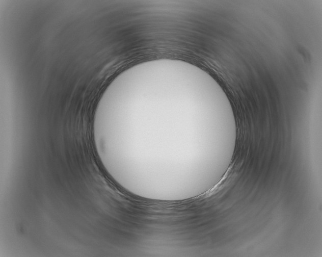 X0000113020140200908271042