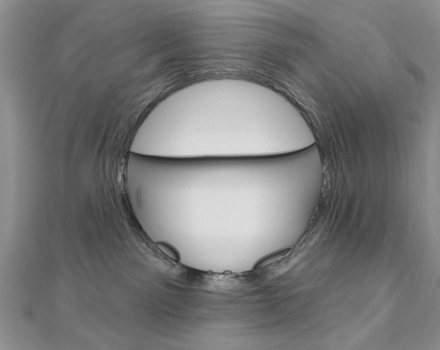 X0000113020141200908271042