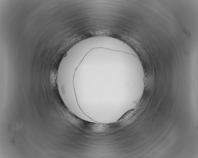 X0000113020142200908271042